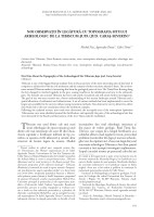 Noi observații în legătură cu topografiasitului arheologic de la Tibiscum-Jupa (Jud Caraș-Severin)